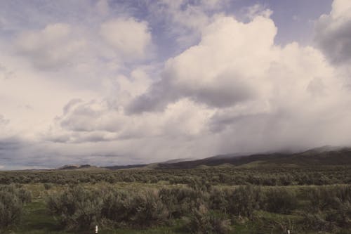 Kostenlos Landschaftsfoto Von Grünen Blattbäumen Unter Nimbuswolken Stock-Foto