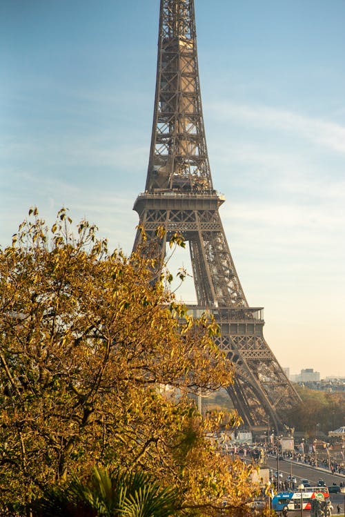 Ingyenes stockfotó Eiffel-torony, emberek, falevelek témában Stockfotó