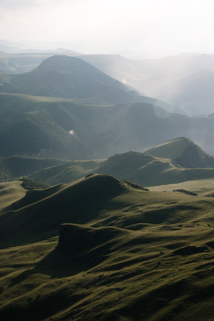 Green, Hilly Meadows