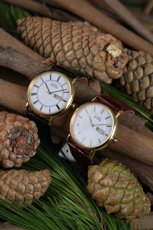 Golden Wristwatch on Brown Tree Branch