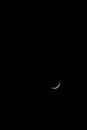 White and Black Half Moon