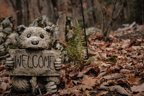 Gray Bear Statue on the Ground