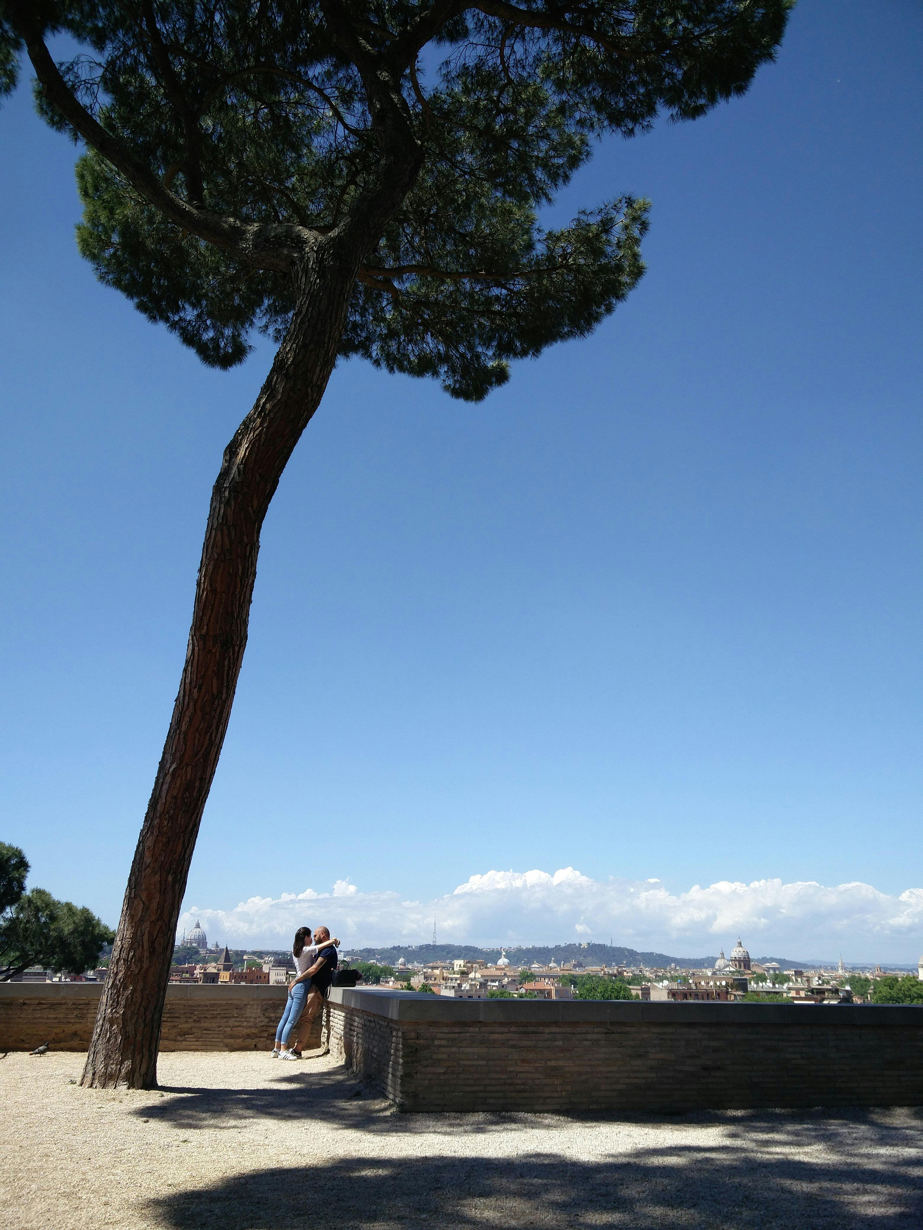 Romantic couple embracing under a tree in Rome, with a panoramic city view on a sunny day.