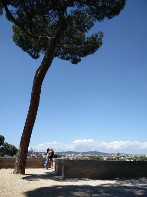 Romantic couple embracing under a tree in Rome, with a panoramic city view on a sunny day.