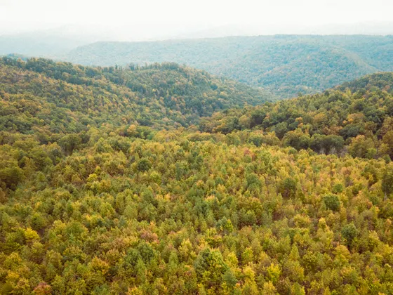 The wide summit view from Reddish Knob on the Virginia and West Virginia line
