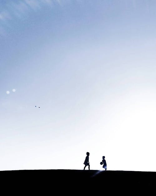 Silhouette of Children Playing a Ball
