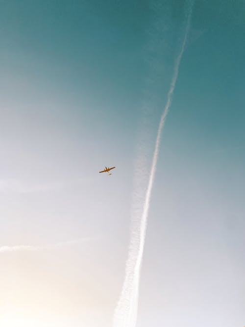 ローアングルショット, 垂直ショット, 航空の無料の写真素材