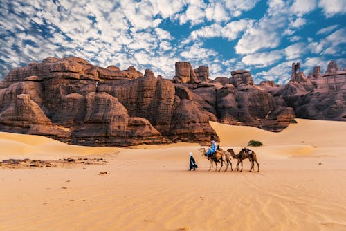 People Riding Camel on the Desert