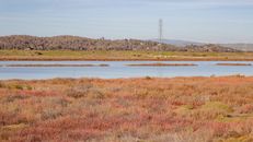 Brown Grass Field Near Lake