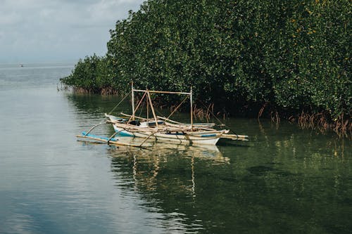 Free Immagine gratuita di barca, corpo d'acqua, mangrovia Stock Photo