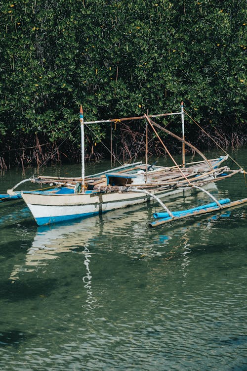 Gratis lagerfoto af båd, lodret skud, mangrove