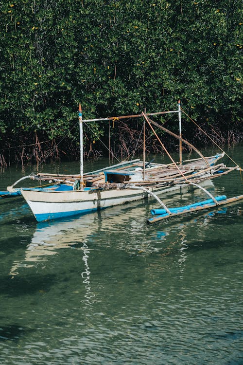 White Boat Near Mangrove