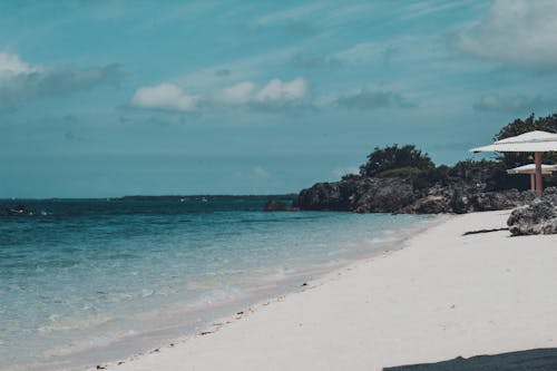 Бесплатное стоковое фото с активный отдых, берег, береговая линия