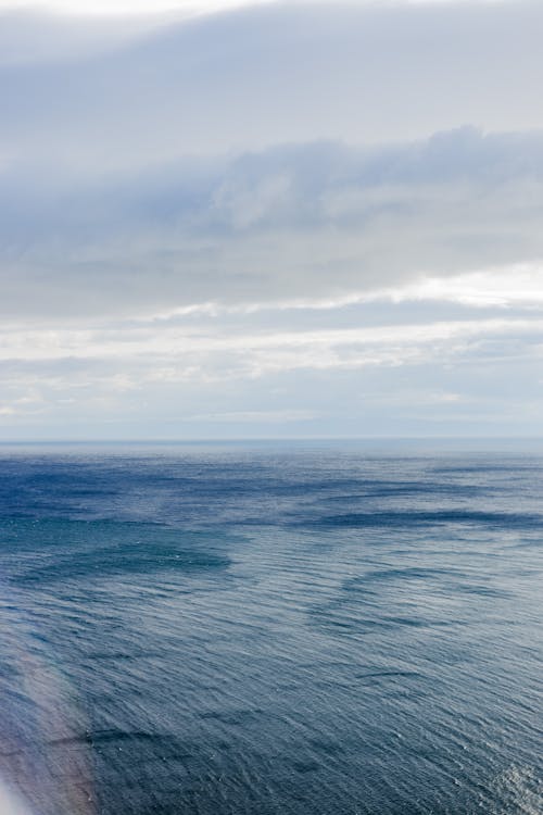 Základová fotografie zdarma na téma moře, oceán, příroda