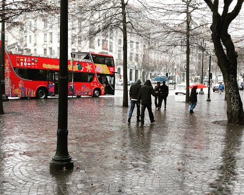 Fotos de stock gratuitas de autobús rojo, día lluvioso, gris