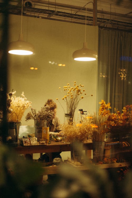 Foto profissional grátis de flores, janela, janelas