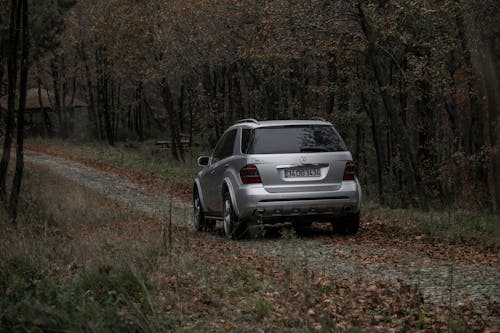 A Car Parked in the Forest