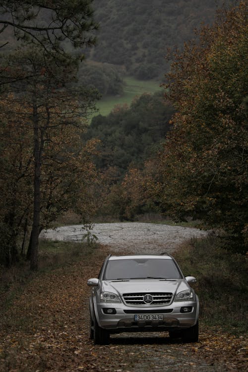 Immagine gratuita di auto di lusso, automobile, foresta