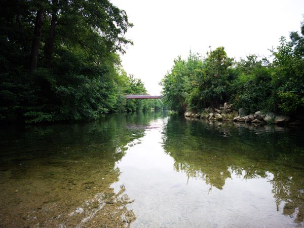 Rivière claire et peu profonde avec une passerelle et le reflet des arbres