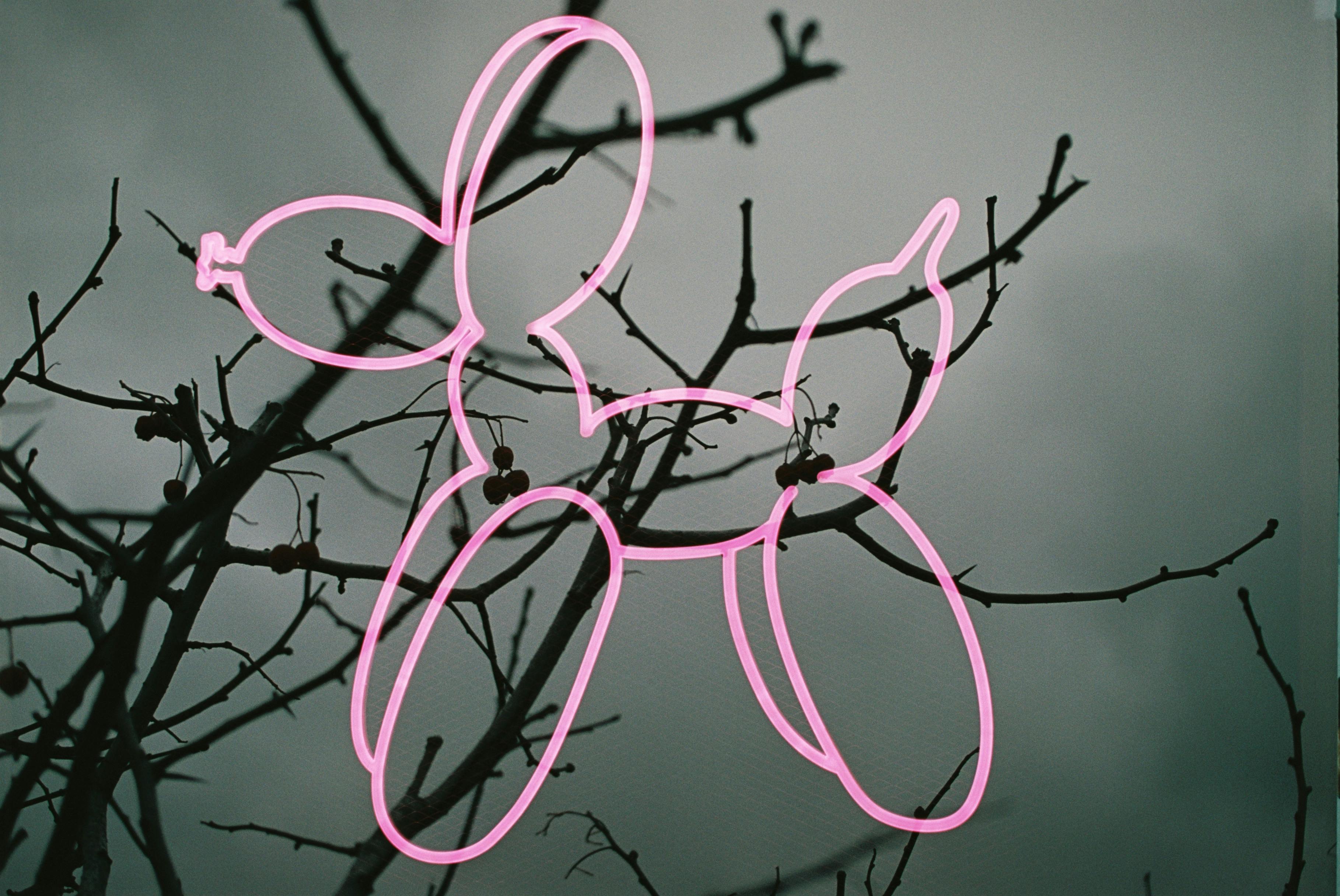 A pink neon balloon dog sculpture framed against barren branches and a moody sky.