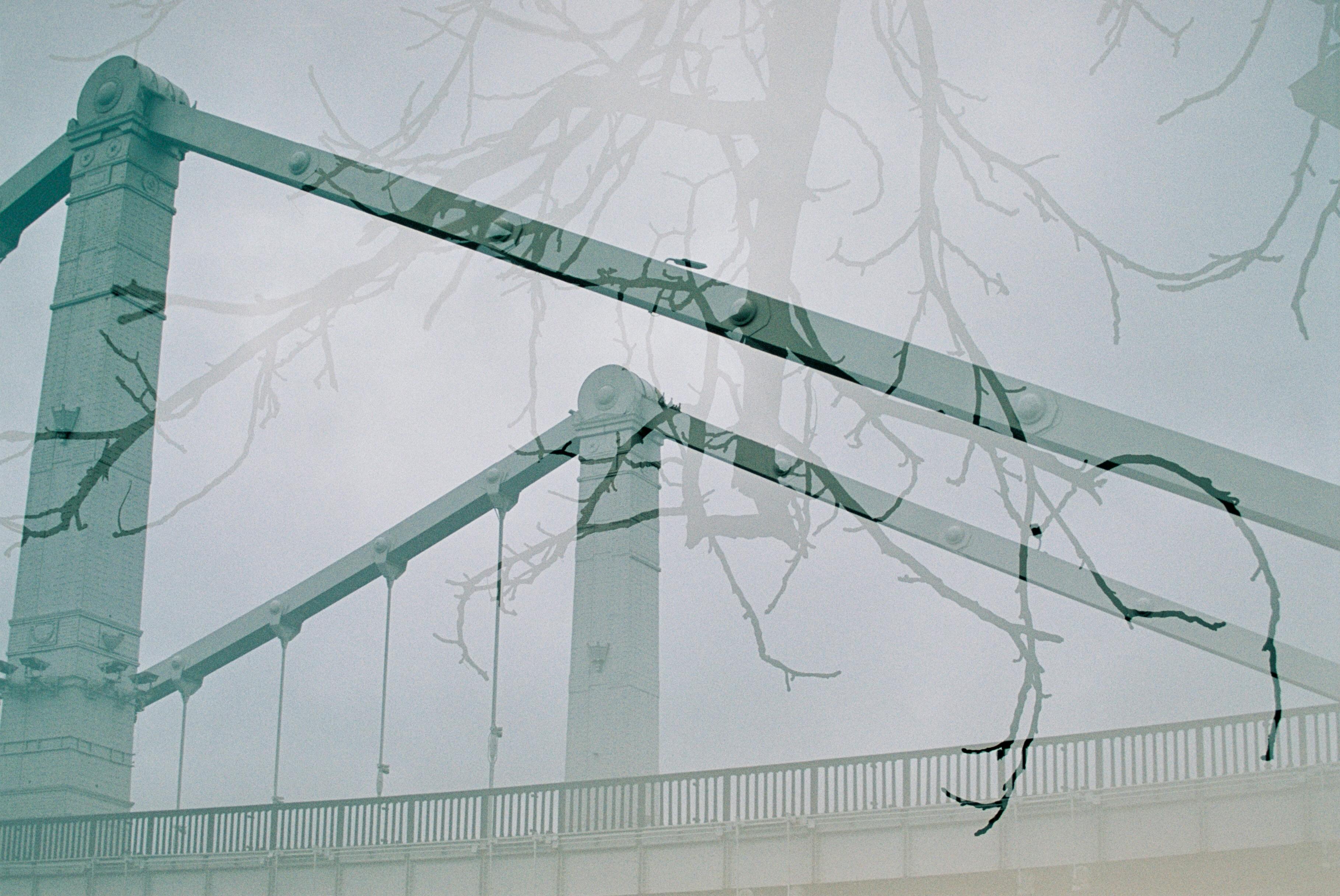 Artistic double exposure photo of bridge against misty branches.