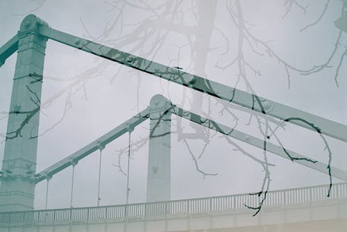 Bridge and Branches