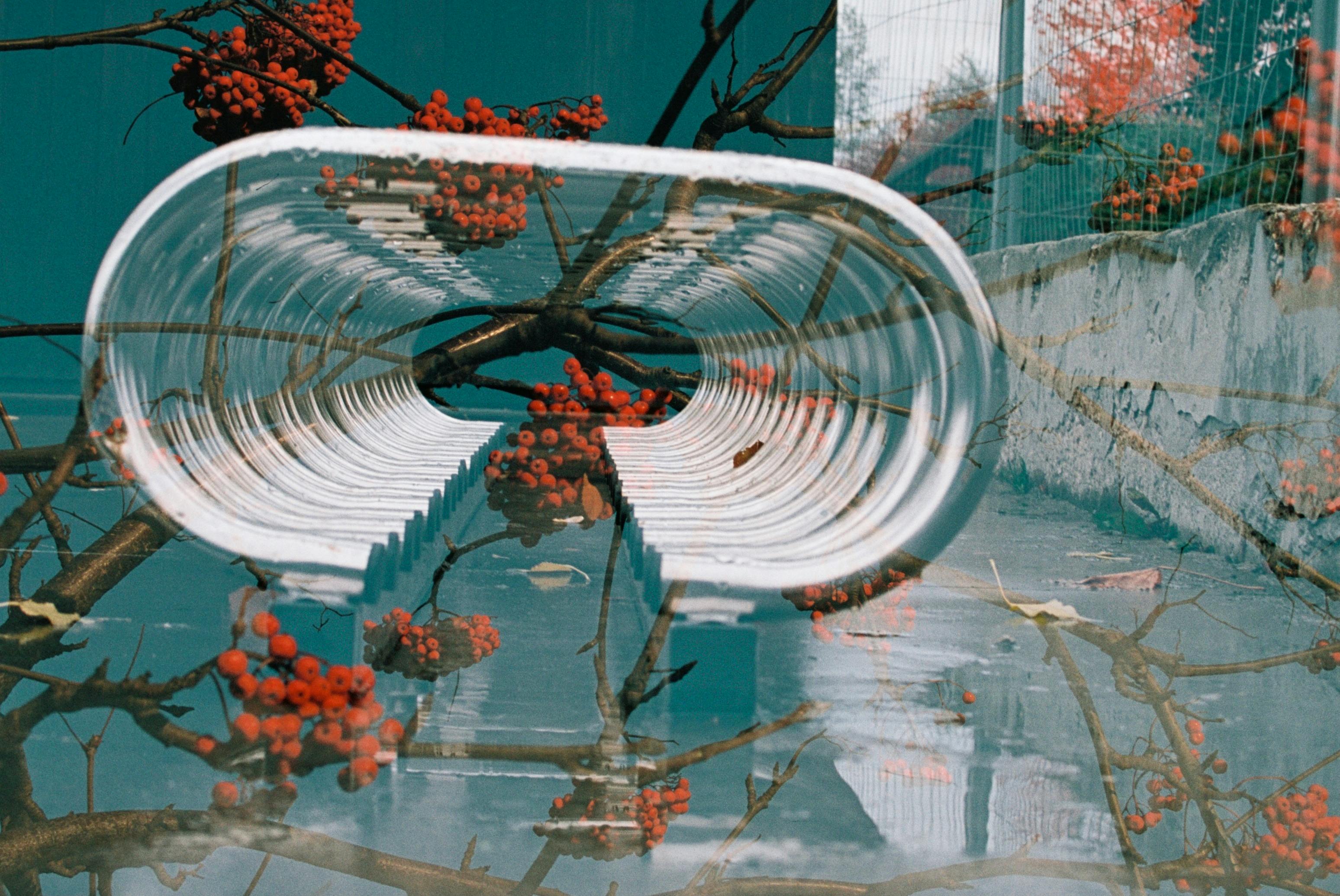 Creative double exposure of nature and urban elements with berries and architecture.
