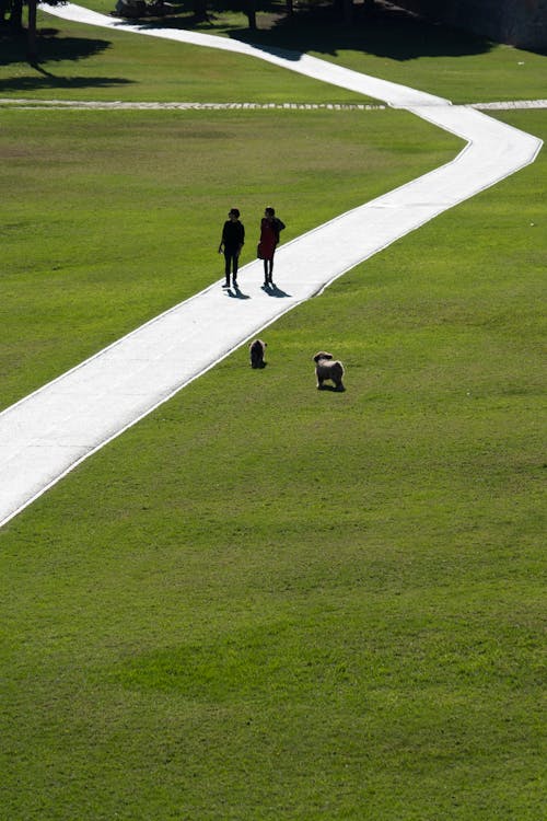 People Walking Near Grass Field 
