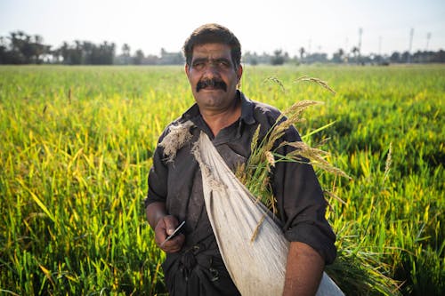 Fotos de stock gratuitas de agricultor, al aire libre, anciano