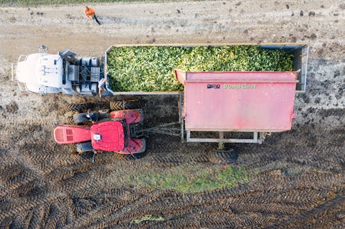 Dumping Crops From One Trailer to Another