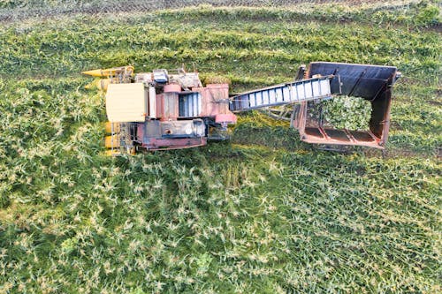 Combine Harvester on Field in Birds Eye View