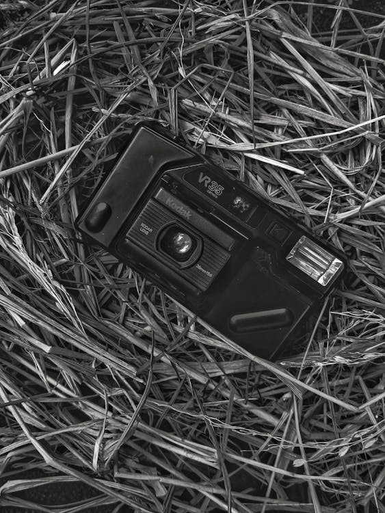 Ilmainen kuvapankkikuva tunnisteilla analoginen kamera, harmaasävyvalokuvaus, kodak