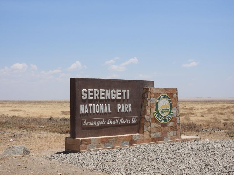 Serengeti Game Drive