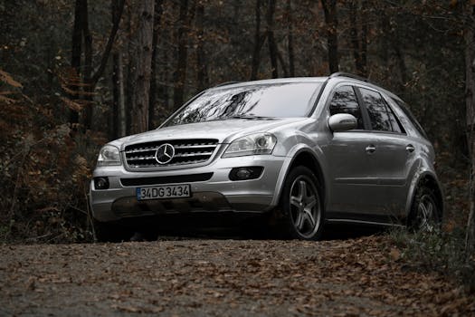 Silver luxury SUV with emblem driving on a forest dirt road in autumn in İstanbul.