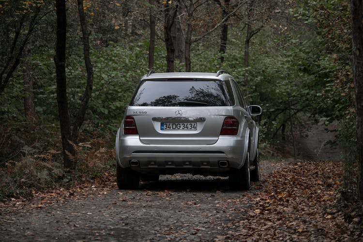 Back View Shot Of Moving Car In The Forest