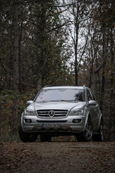 A silver SUV parked on a forest path during autumn in İstanbul, Türkiye.