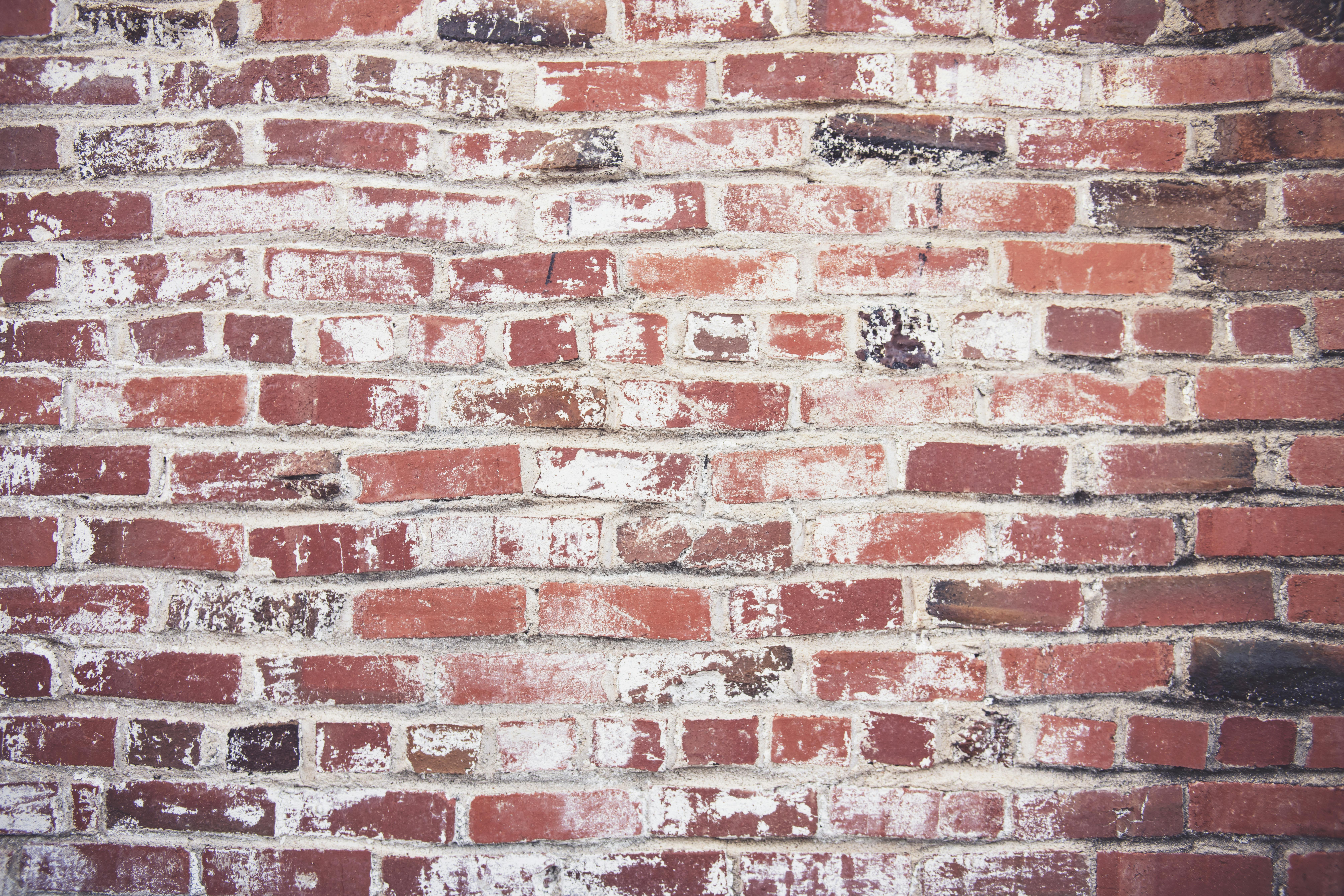 Wall Bricks · Free Stock Photo