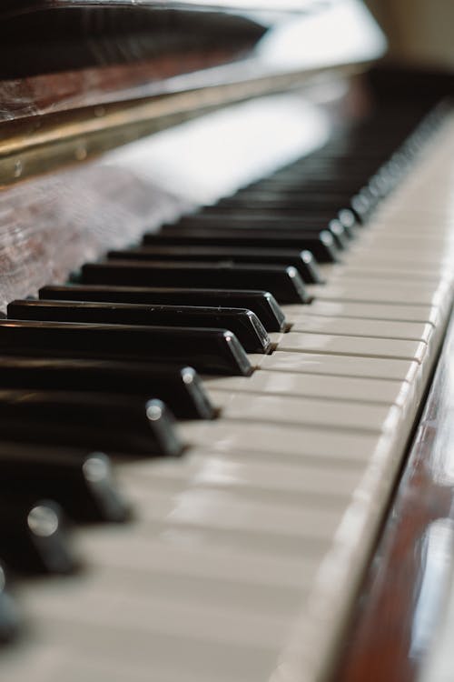 Free Ivory Piano Keys in Close-up View Stock Photo