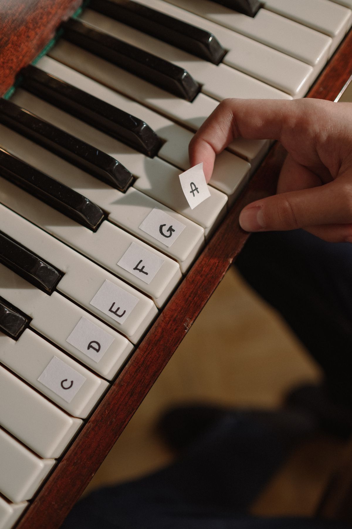 Close-up of piano keys