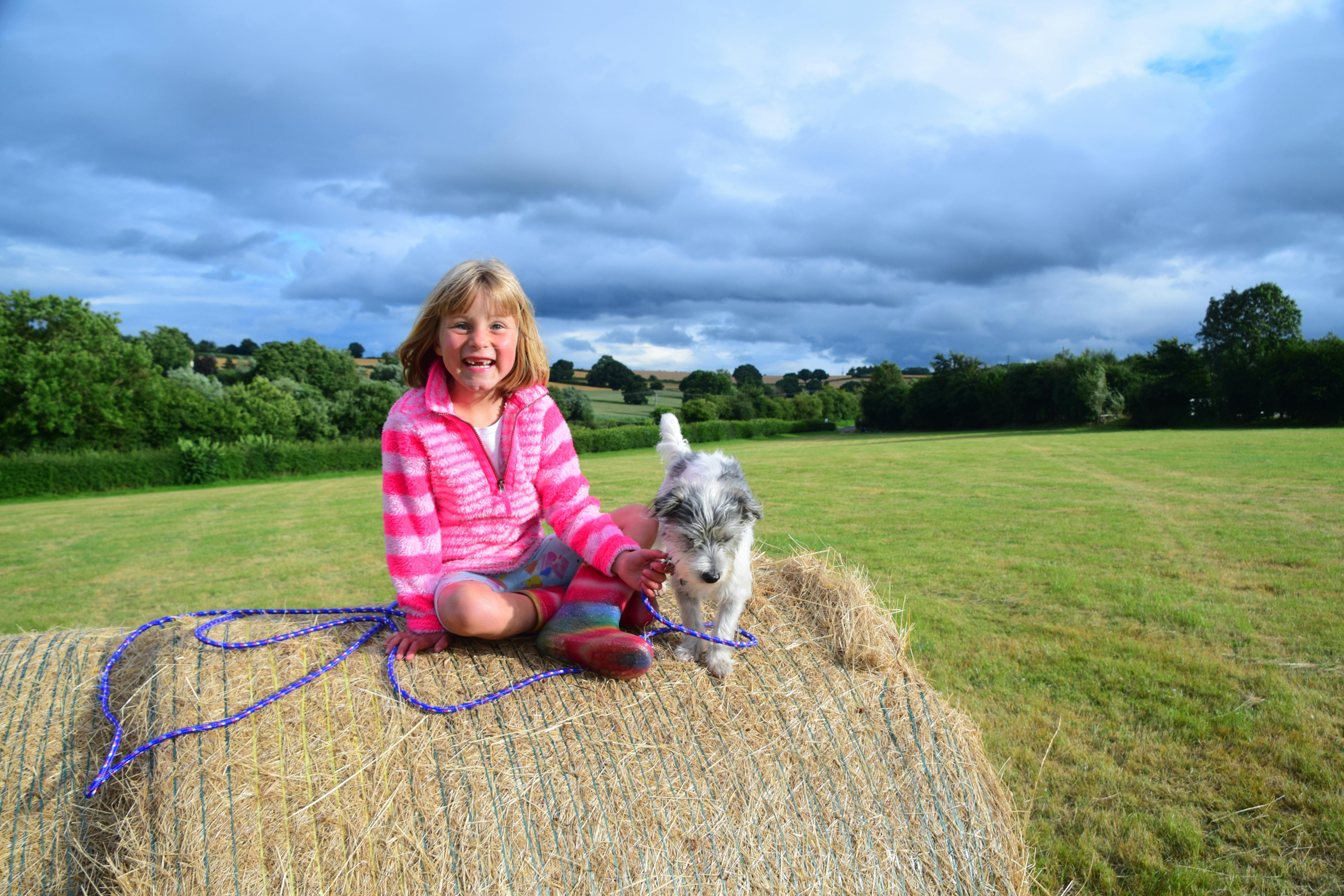 cute girl with her dog sitting on haystack