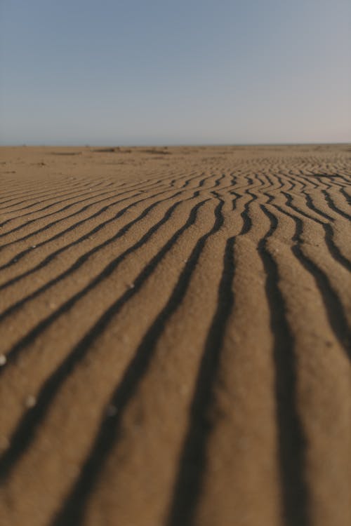 Sand on Desert