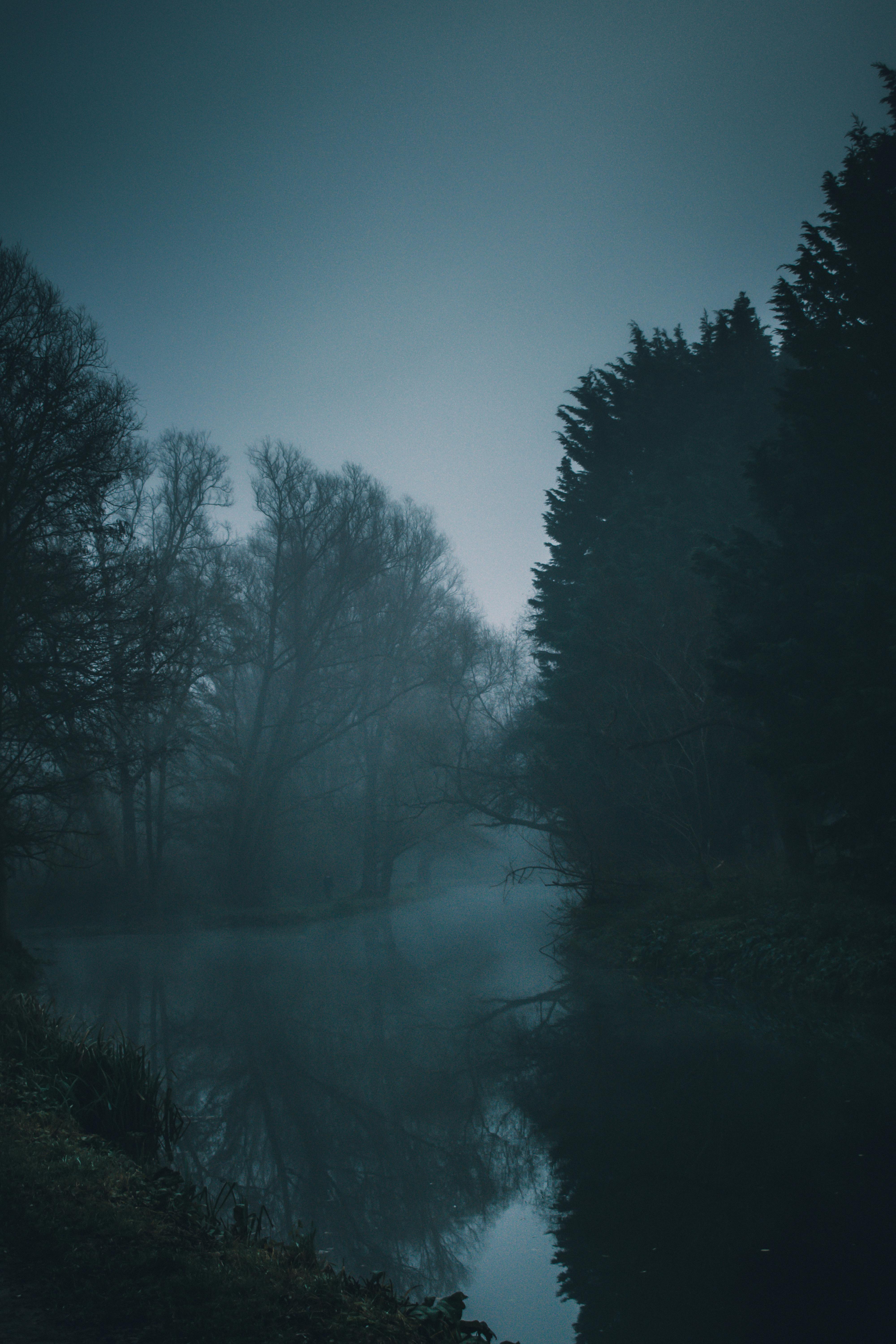A misty river landscape captured at dawn in London, highlighting reflective and foggy scenery.