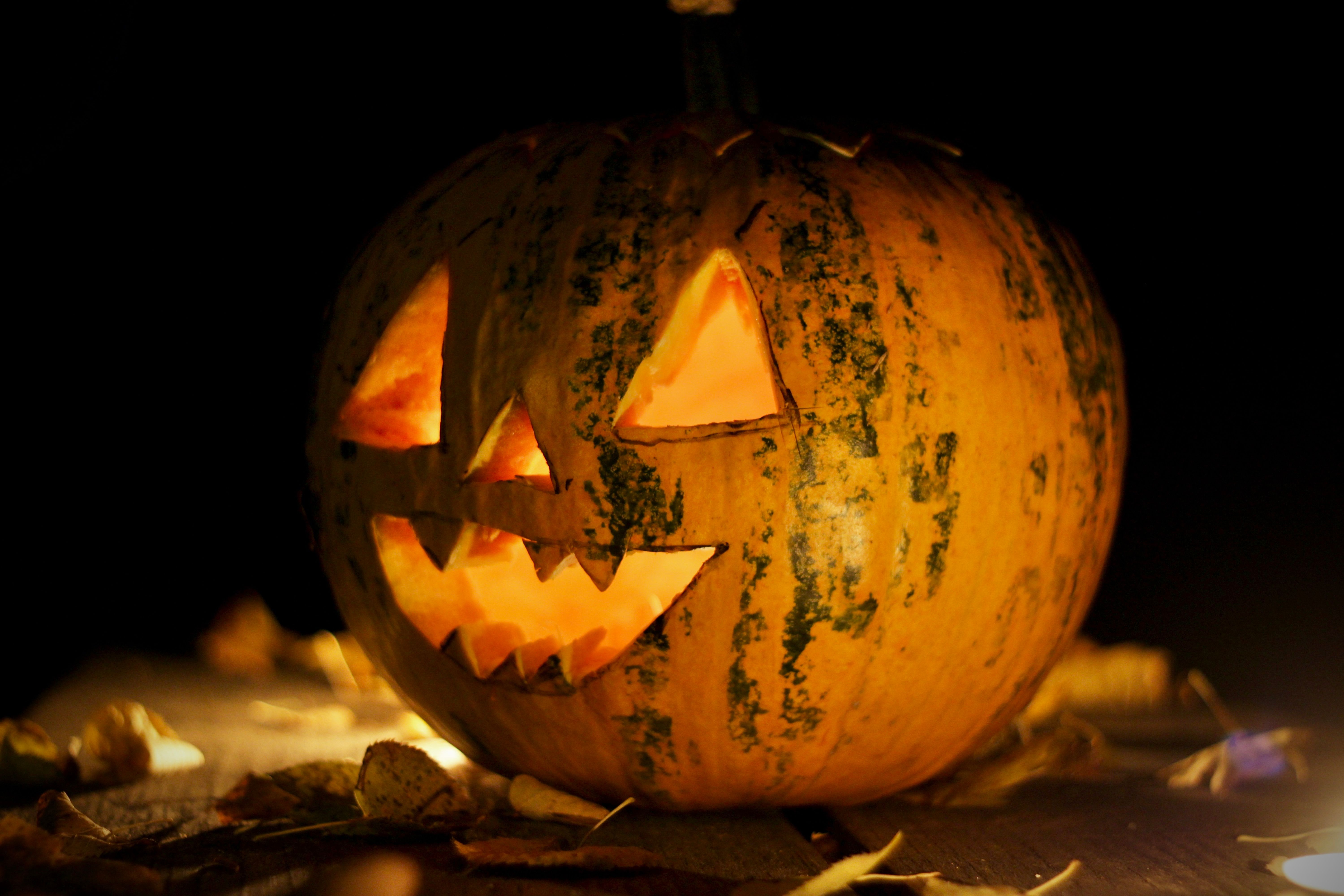 An Illuminated Jack o Lantern in Close Up Photography · Free Stock Photo