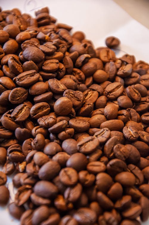 Brown Coffee Beans on a Ceramic Plate