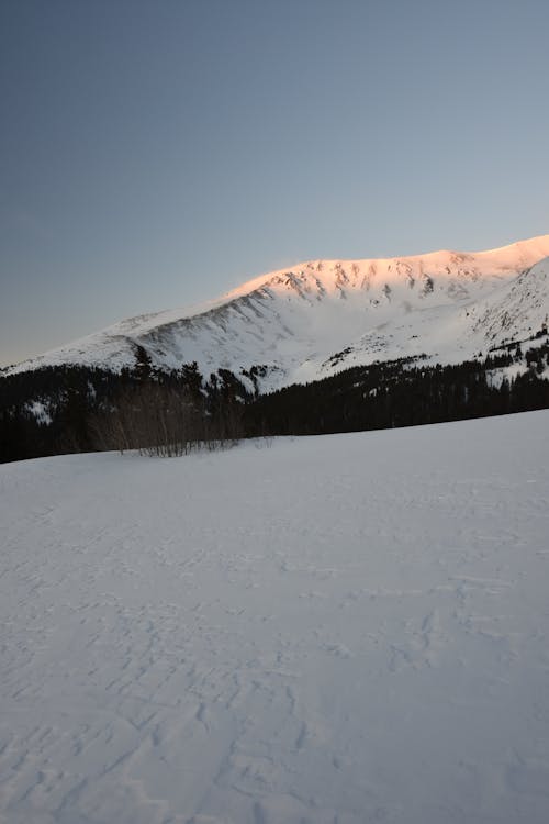 Mountain Covered with Snow