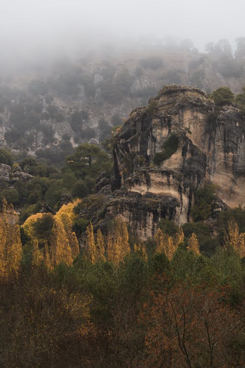 垂直拍摄, 山, 景觀 的 免费素材图片