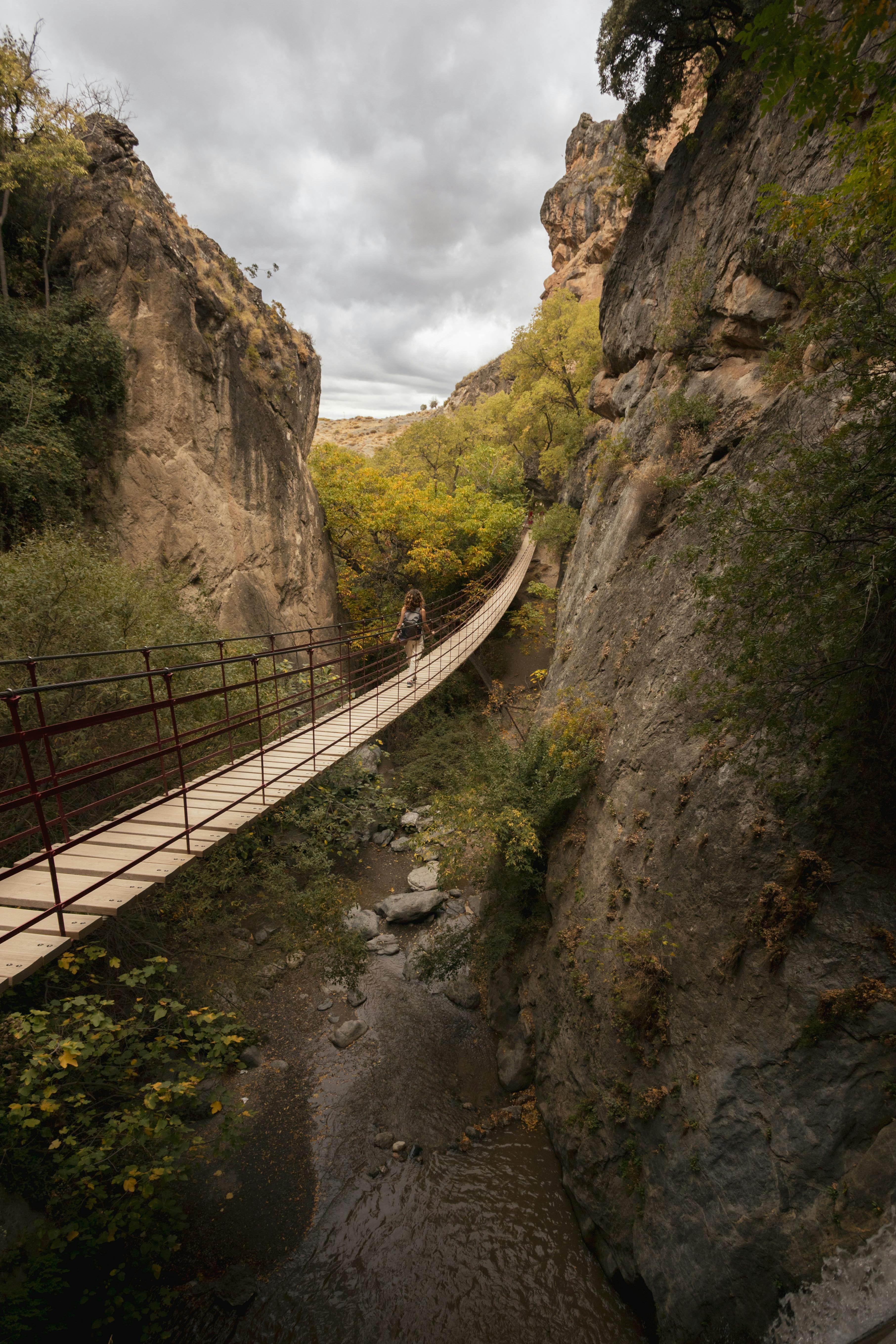 A woman walks across a picturesque hanging bridge in the Sierra Nevada.