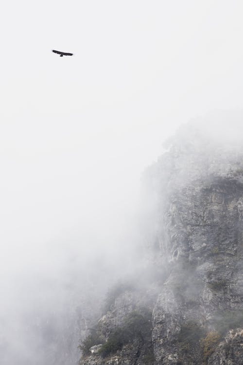 Darmowe zdjęcie z galerii z chmura, deszcz, dym