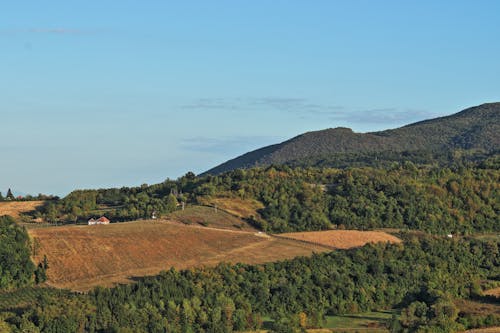 Kostenloses Stock Foto zu acker, außerorts, drohne erschossen