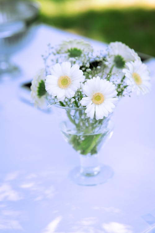 Fotos de stock gratuitas de decoración, florero de vidrio, Flores blancas